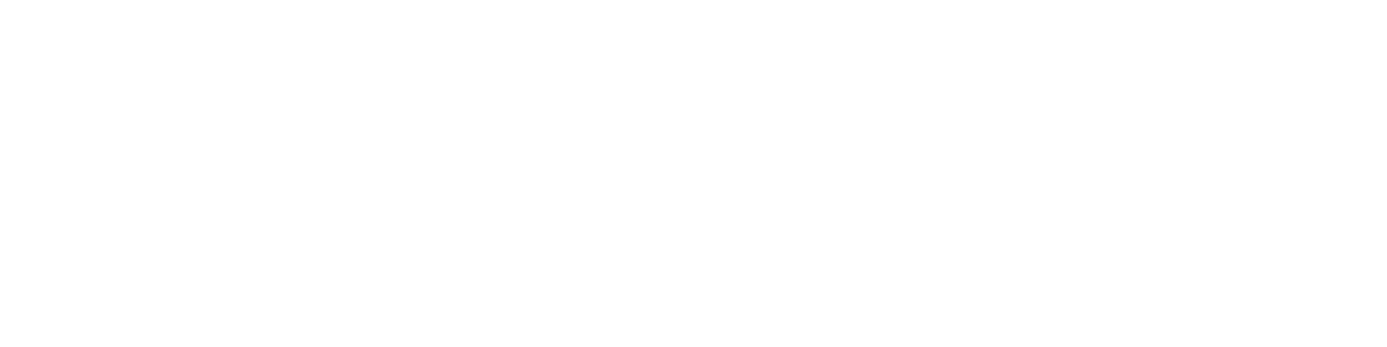 ZeroDeNet