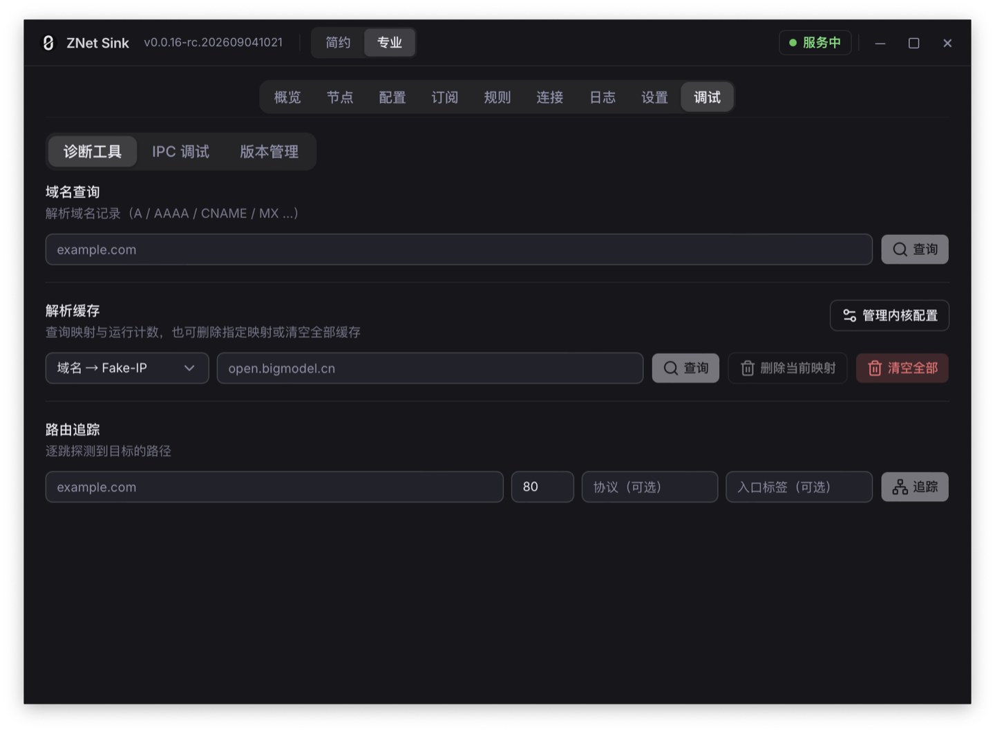 ZNet Sink 诊断工具页面，包含 DNS 查询、缓存管理和路由追踪